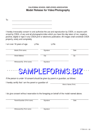 California Model Release Form 2 pdf free